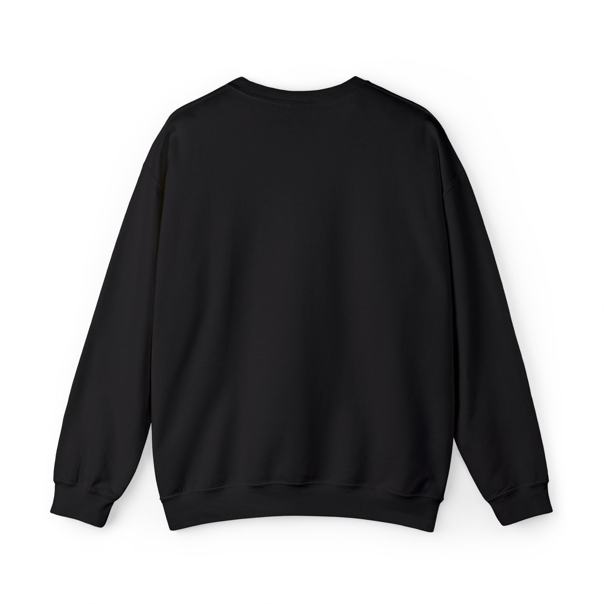 15 - Woodland Academy Embroidered Multi Color Crewneck Sweatshirt – Minimal Motivational Pullover