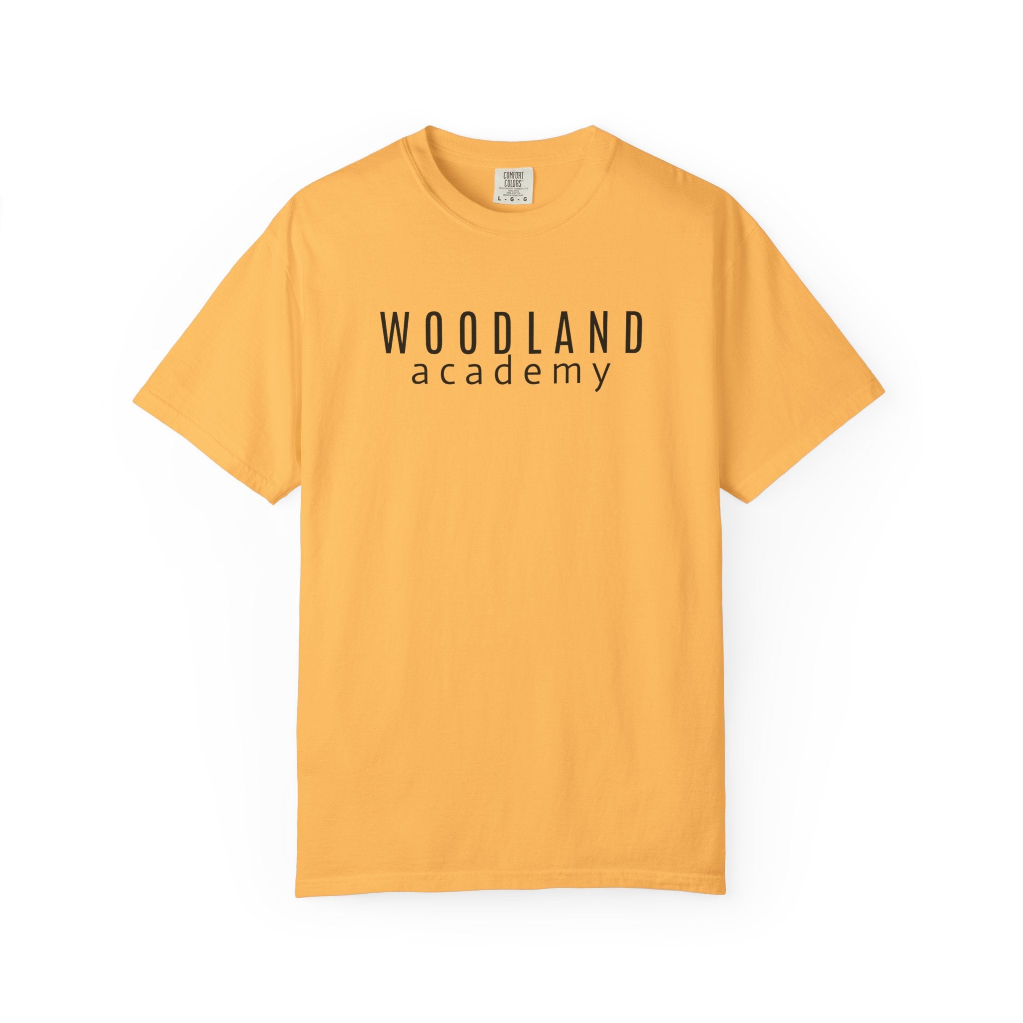11 - Woodland Academy Oversized Wildcat Multi Color T-Shirt — Minimal Logo Tee for Leaders & Coaches