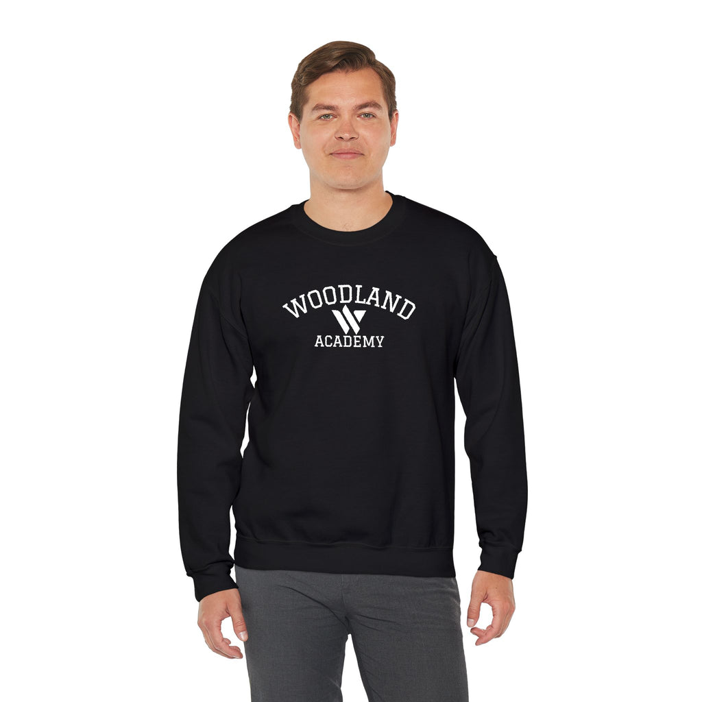 15 - Woodland Academy Embroidered Multi Color Crewneck Sweatshirt – Minimal Motivational Pullover