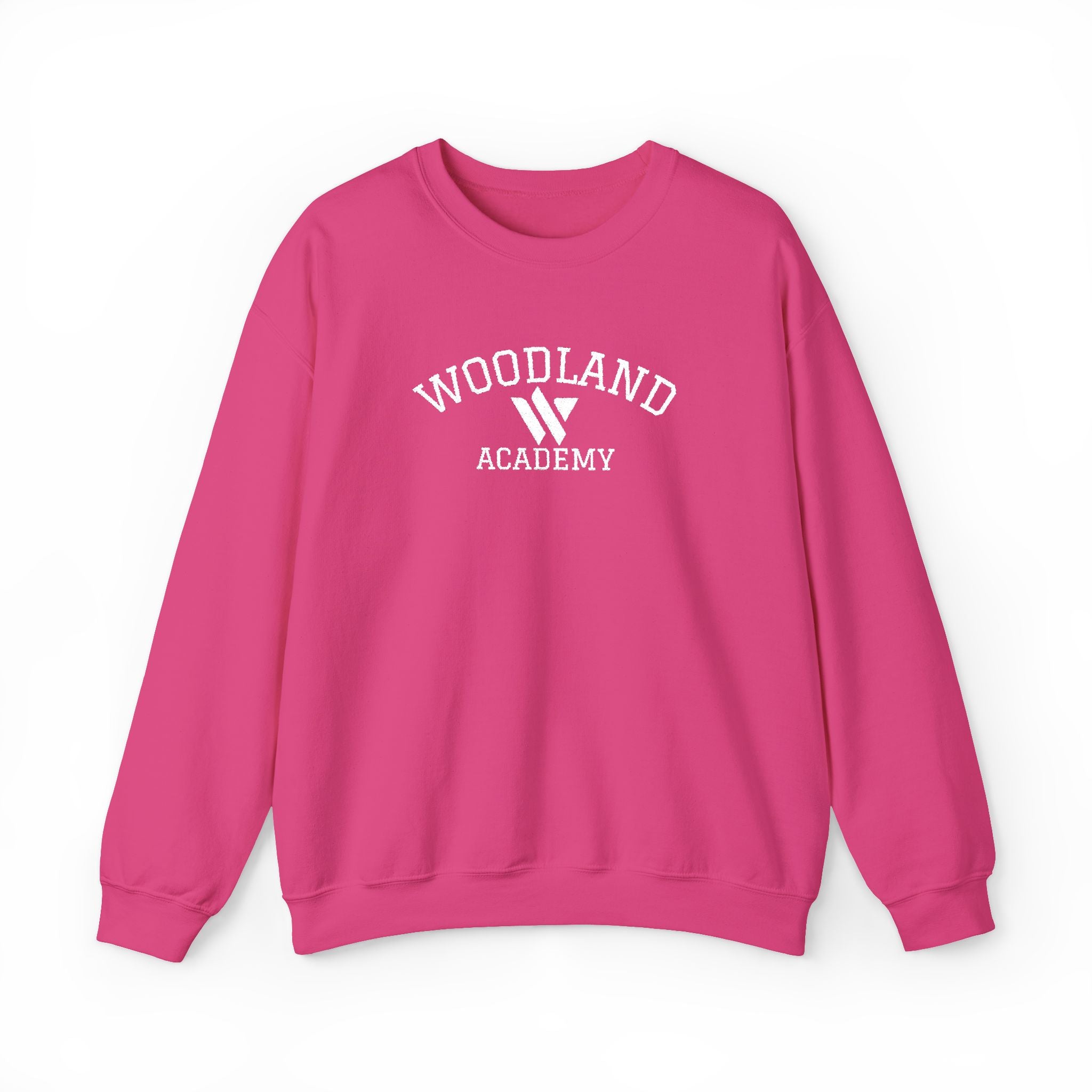 15 - Woodland Academy Embroidered Multi Color Crewneck Sweatshirt – Minimal Motivational Pullover