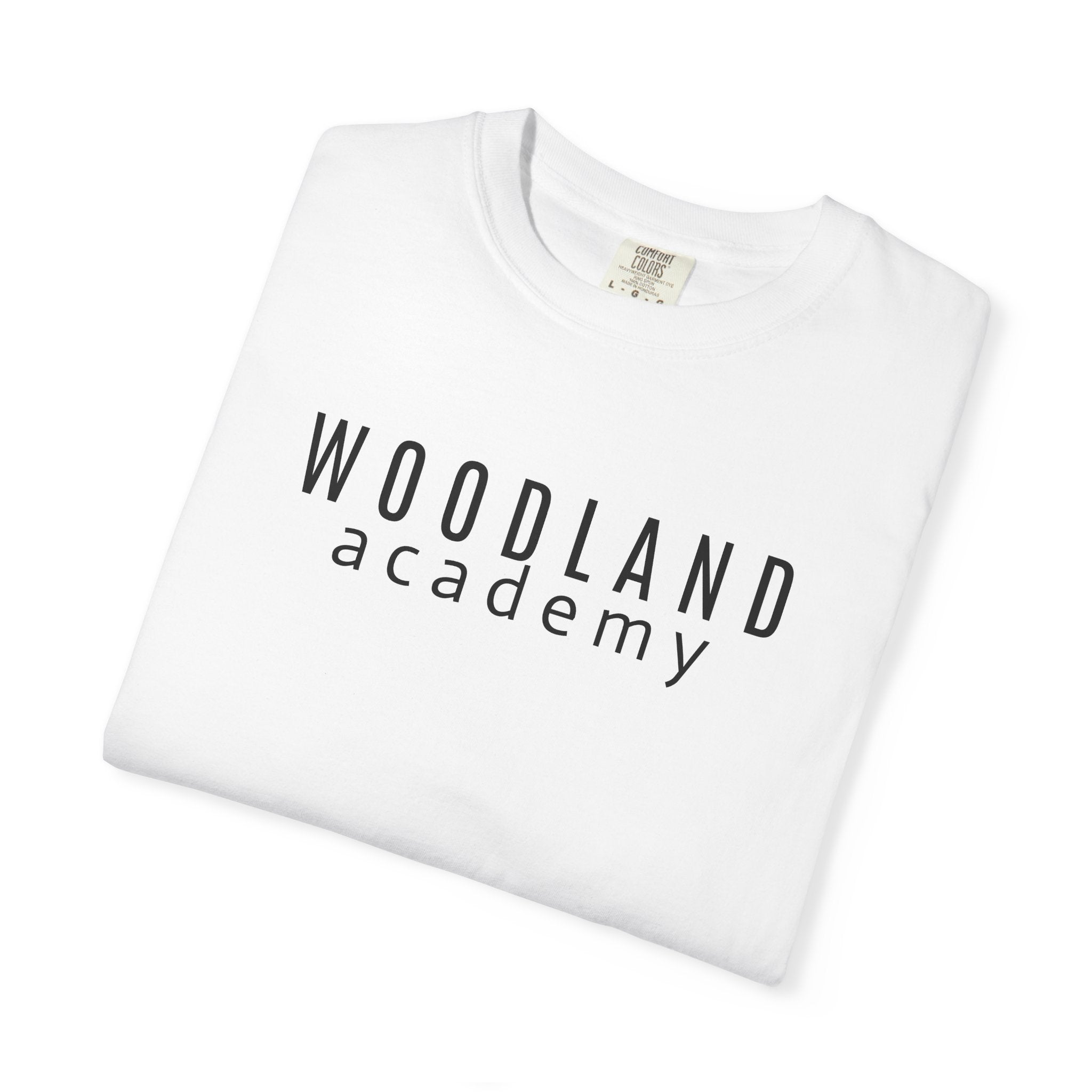 11 - Woodland Academy Oversized Wildcat Multi Color T-Shirt — Minimal Logo Tee for Leaders & Coaches